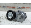 Intinzator curea transmisie CHEVROLET CRUZE  GM  Z20D1  25192084